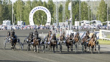 Vill du bli medlem i Sällskapet?