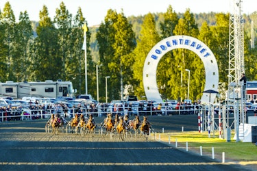 Midnattstravet med V75 