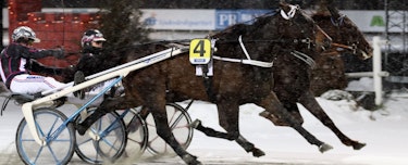 Travkväll med V64-spel