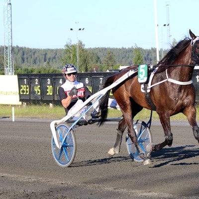 Slutställning Bodentravets treåringsserie