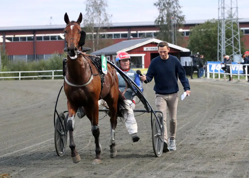 Bodentravet på Bergsåker
