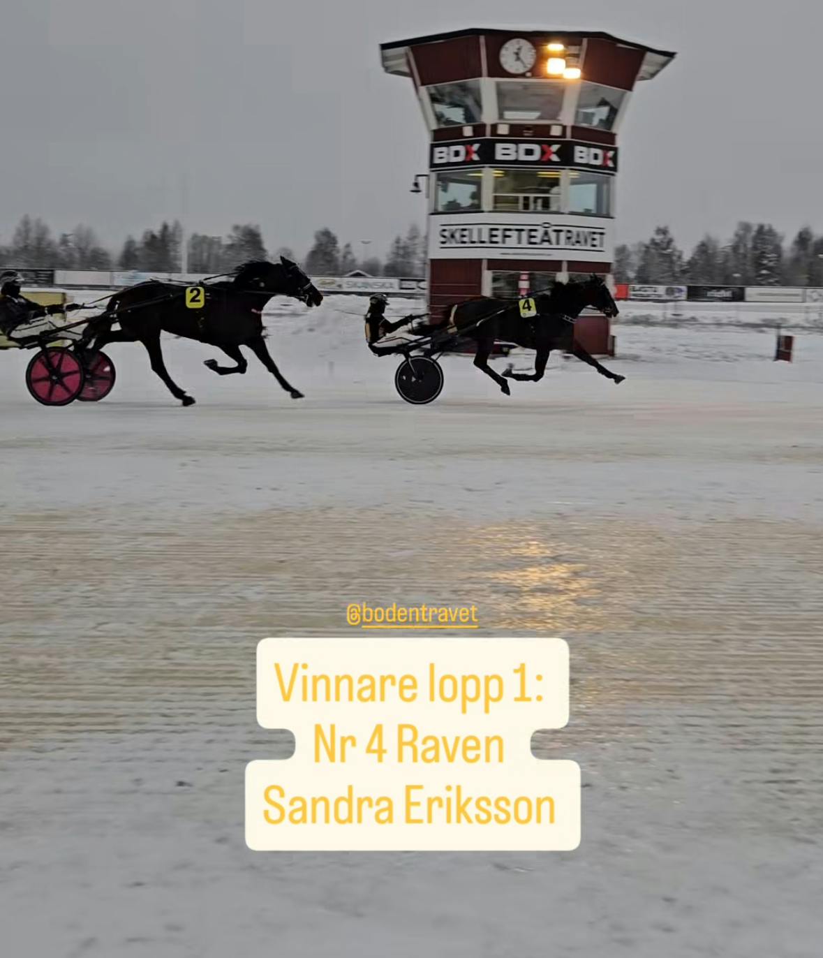 Sandra  Skellefteå-Champ!