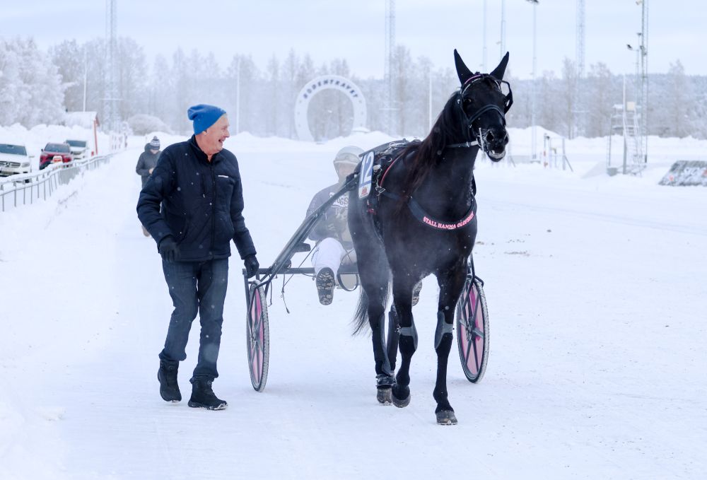 Sex hemmasegrar under torsdagens lunchtrav