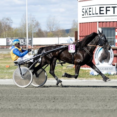 Guldtäcket
