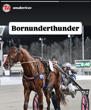 Trippel till Engfors på Umåker!