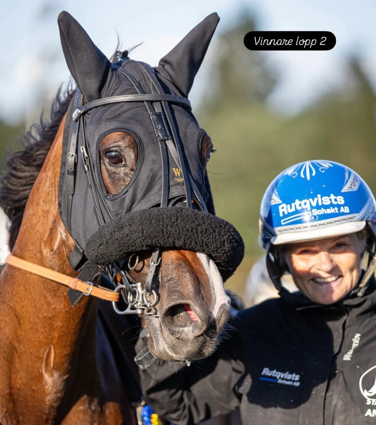 Fina framgångar på Skellefteåtravet!