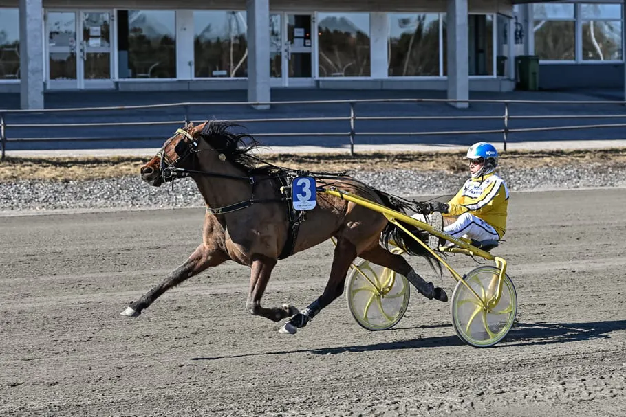 Salmela på Solvalla och Wikstén på Umåker!