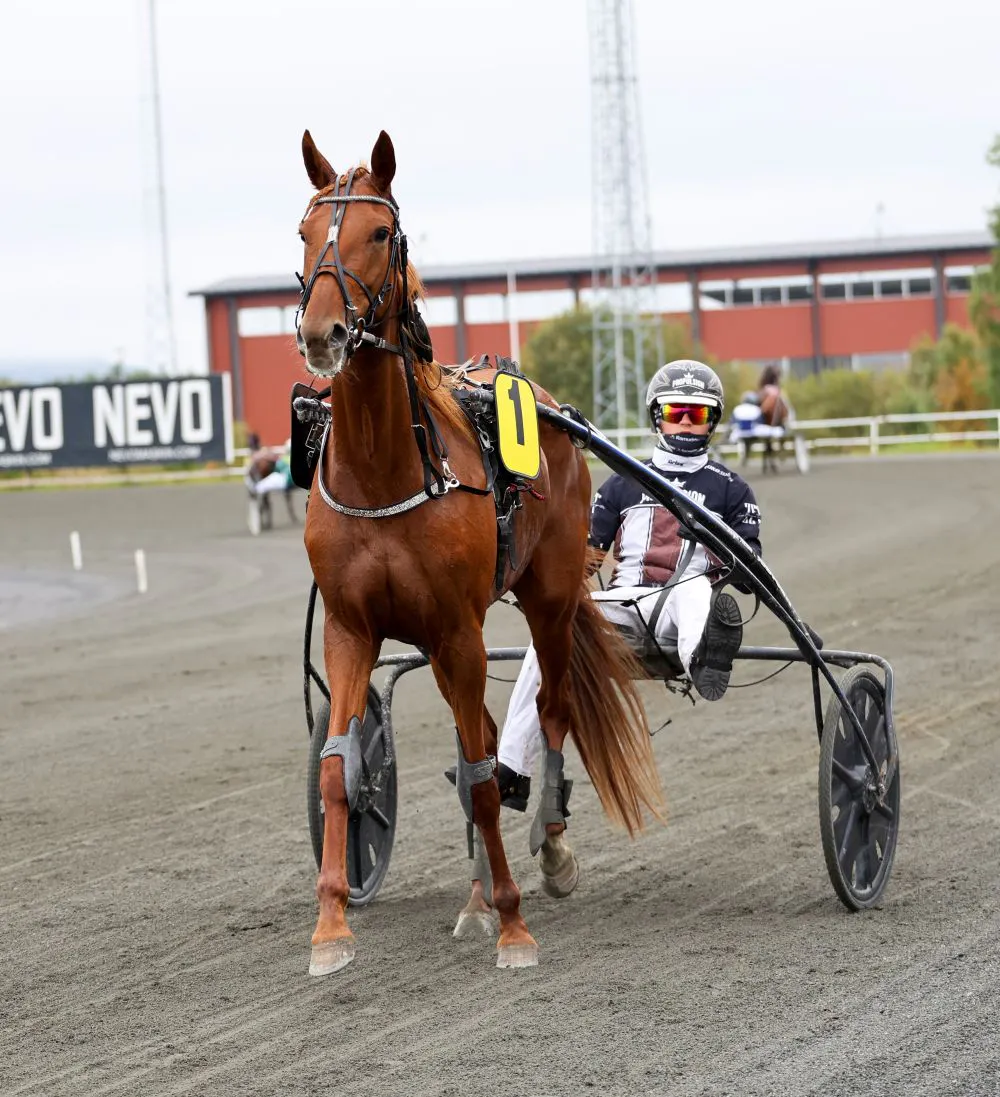 Fina hemmaframgångar!