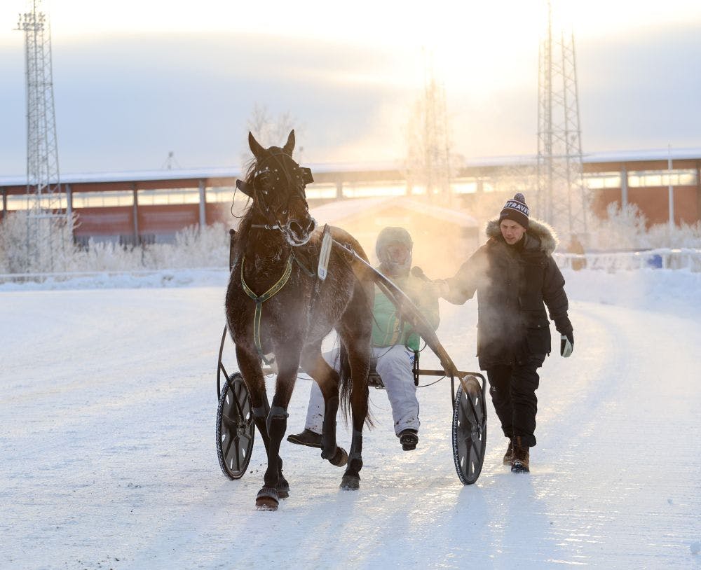 Två hemmasegrar på lunchen!
