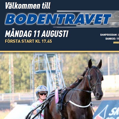 Program 11 augusti