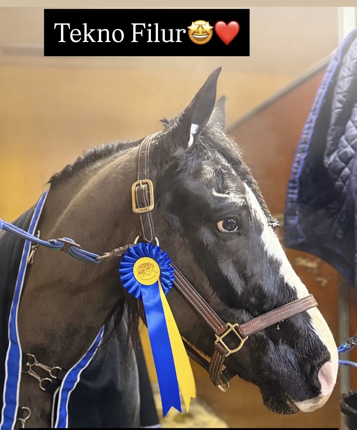 Strålande dag för Bodentränarna på Umåker!