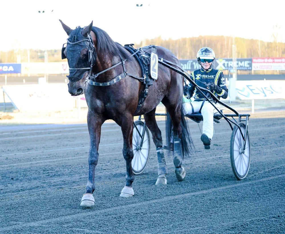 Hälften till hemmalaget när jätteskrällen slog till!