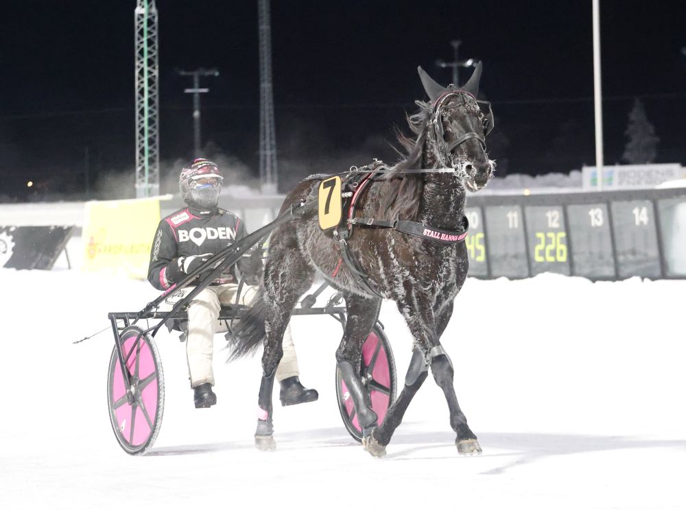 Två hattrick till hemmatränarna i kylan