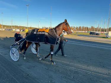 V5-kväll med Breddplus
